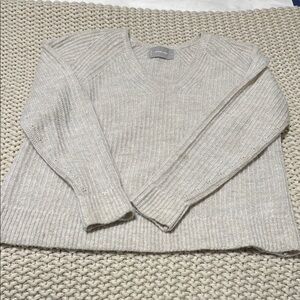 Everlane Alpaca v-neck Sweater
